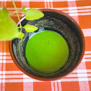 Usucha Hoshitea