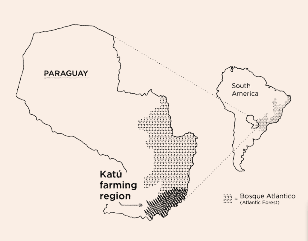Katu Ka'a Yerba Mate Premium