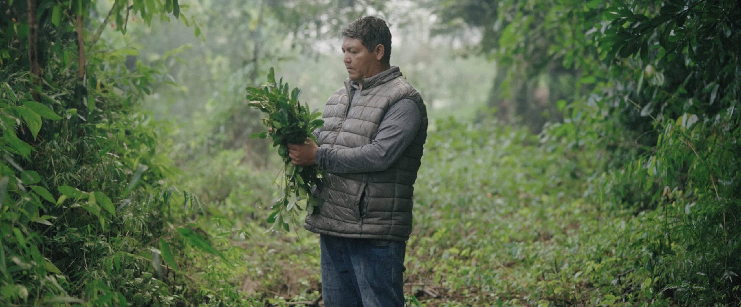 Katu Ka'a Yerba Mate Premium