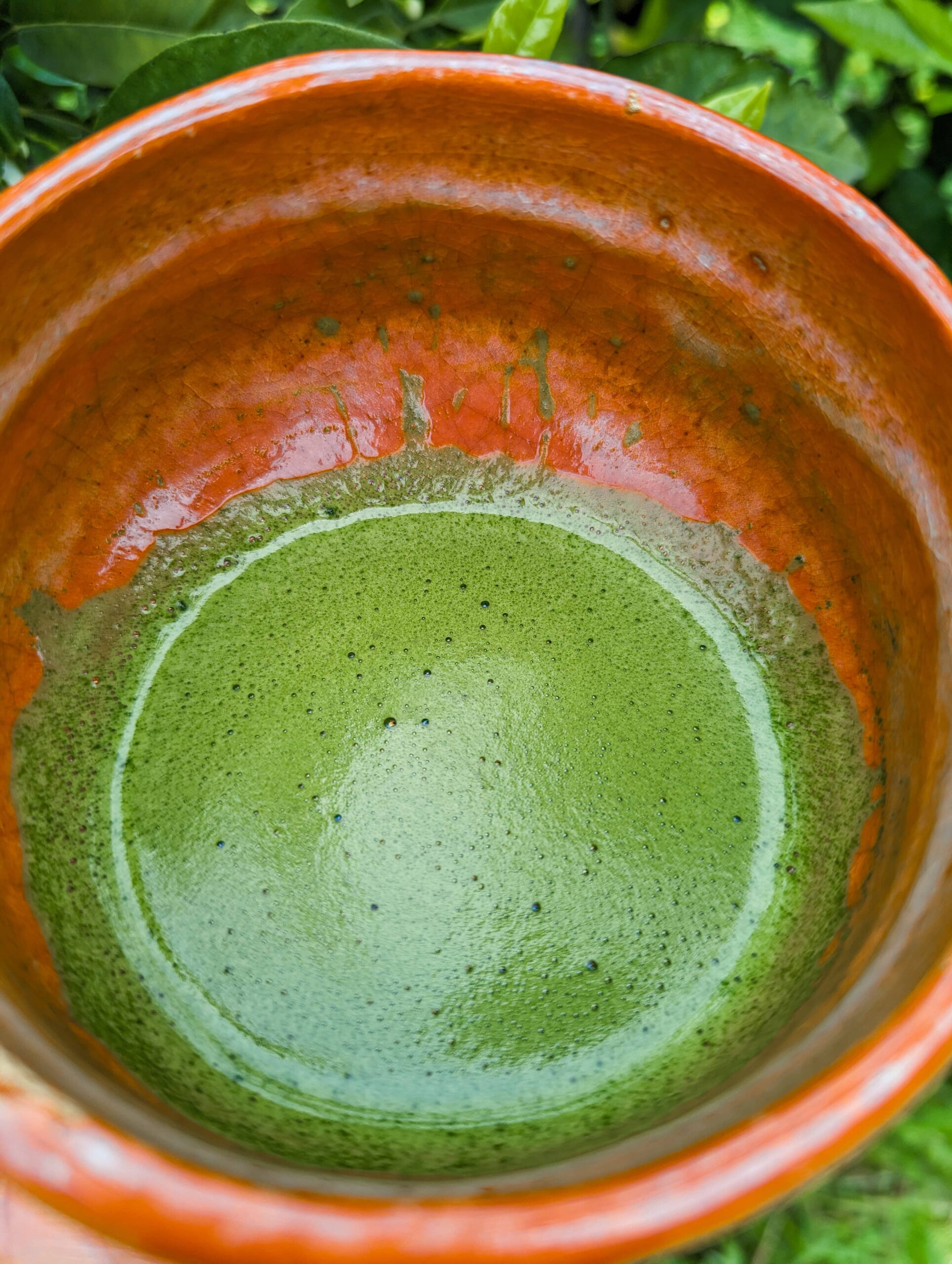 Ceremonial Matcha Green Tea Yana no Shiro Hoshitea Hoshino Seichaen