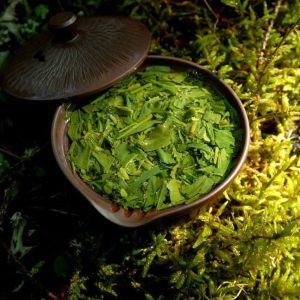 Marukyu-Koyamaen Sencha Shuei japanese green tea 2