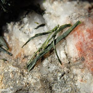 kabusecha takamado tè verde giapponese marukyu koyamaen 2