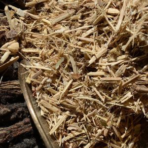 Eleuterococco – Ginseng siberiano