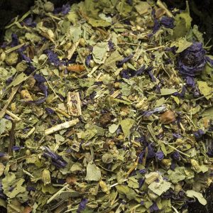 Tisana al Cipresso per emorroidi