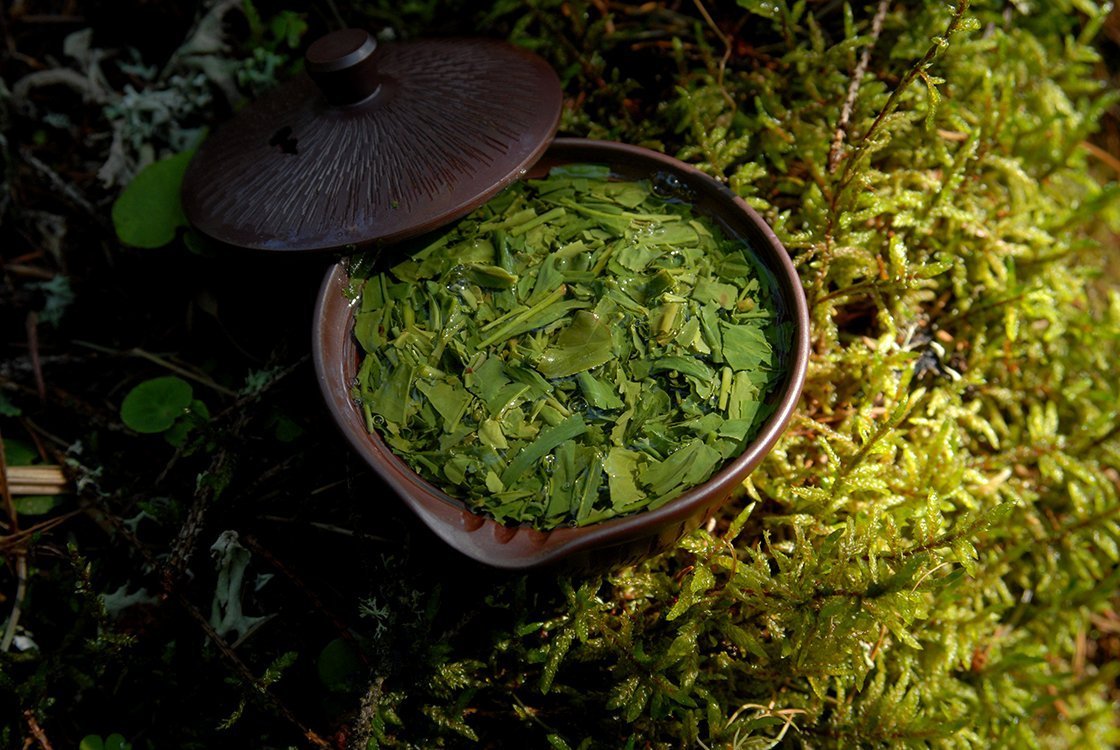 Marukyu-Koyamaen Sencha Shuei japanese green tea 2