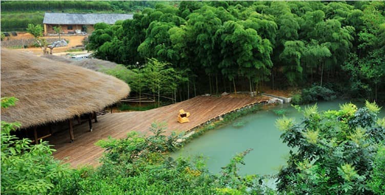 chinese chasen Bamboo Oro accessorio per il tè verde Matcha