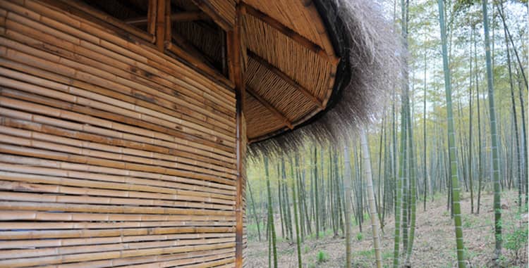 chinese chasen Bamboo Oro accessorio per il tè verde Matcha