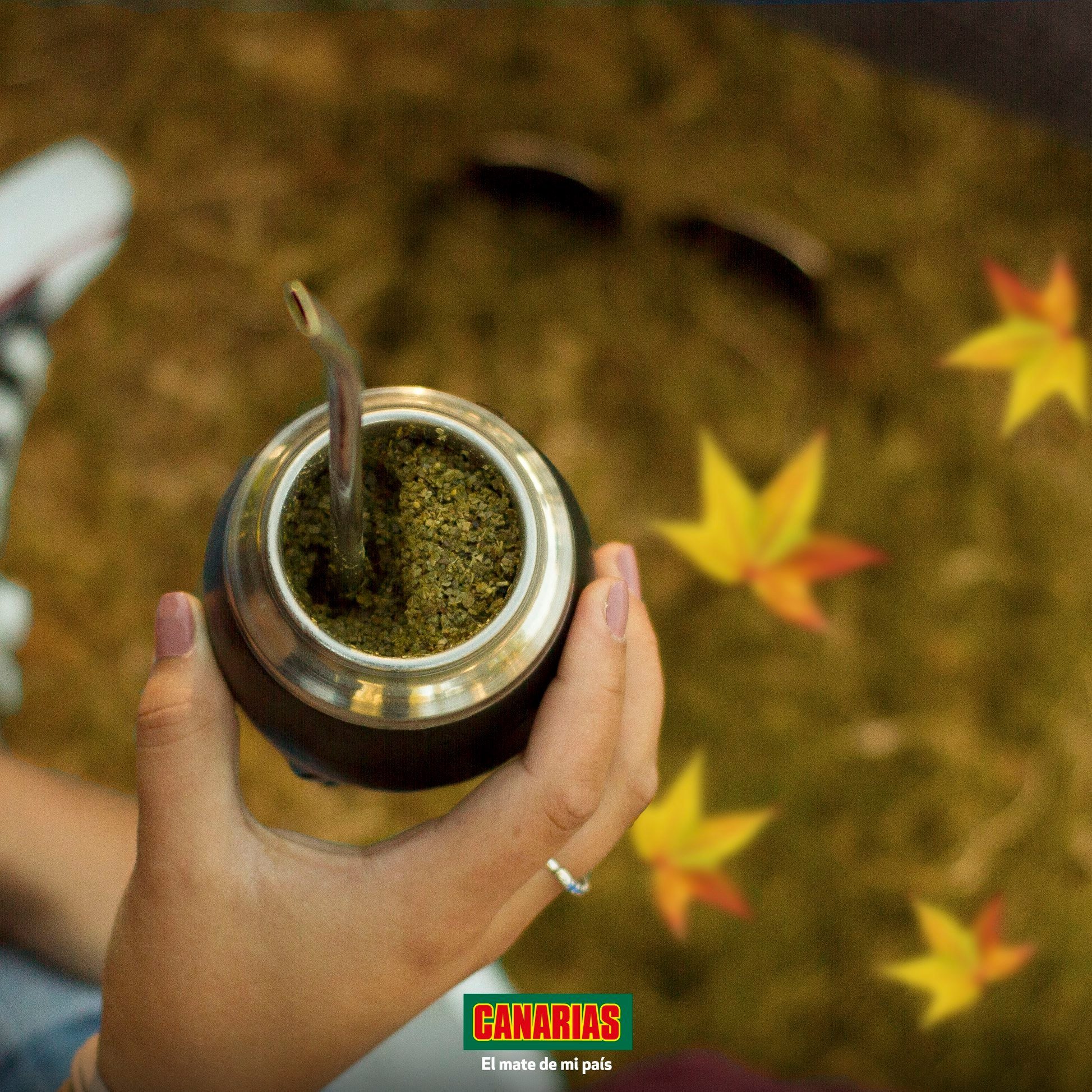 Yerba Mate Canarias