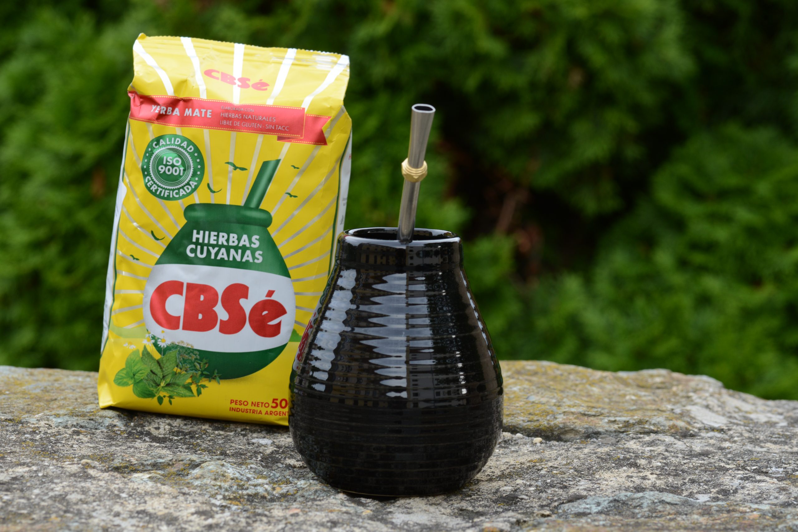 Calabaza Ebano in ceramica