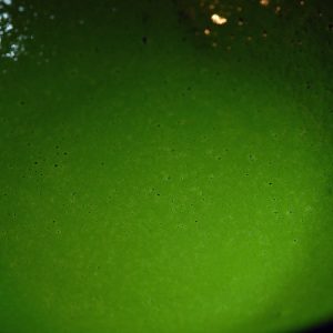 Matcha Koicha tè verde