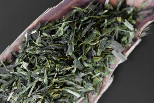 Sencha Wakame tè verde aromatizzato alga