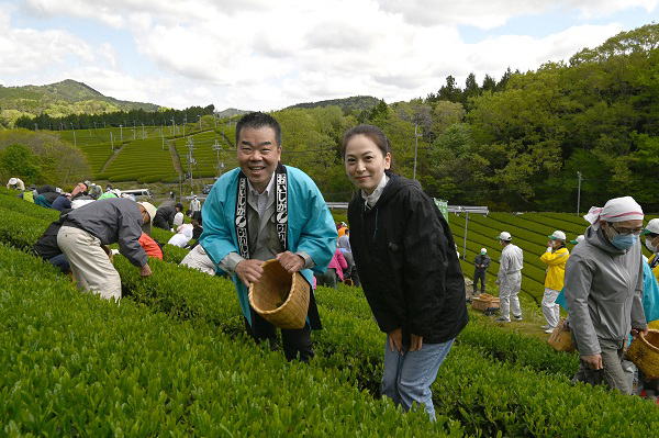 Asamiya Kabusecha Okumidori tè verde giapponese