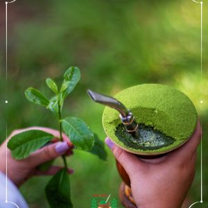 Ximango erva mate chimarrao