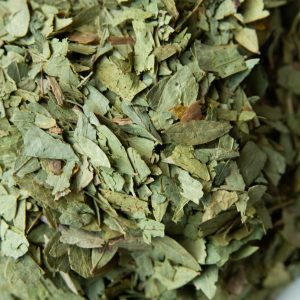 Senna erbe officinali, tisana lassativa e digestiva