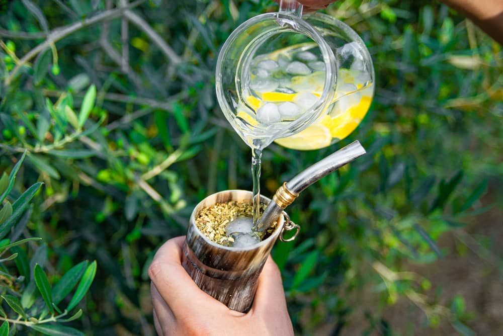 Yerba Mate Tereré