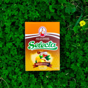Selecta Miele Zenzero e Menta Yerba Mate Paraguayana aromatizzata Matchamatcha.it