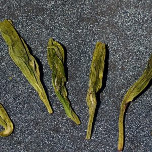 Premium Shi Feng Long Jing Tè verde cinese