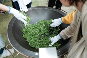 Mine Kaori kamairicha bio tè verde giapponese Miyazaki Sabou6