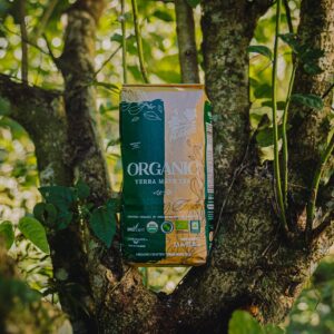 Pajarito Organica - Yerba Mate