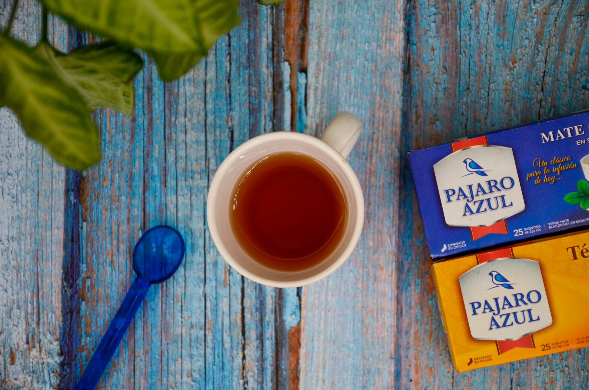 Pajaro Azul – Mate in bustine 25x2gr