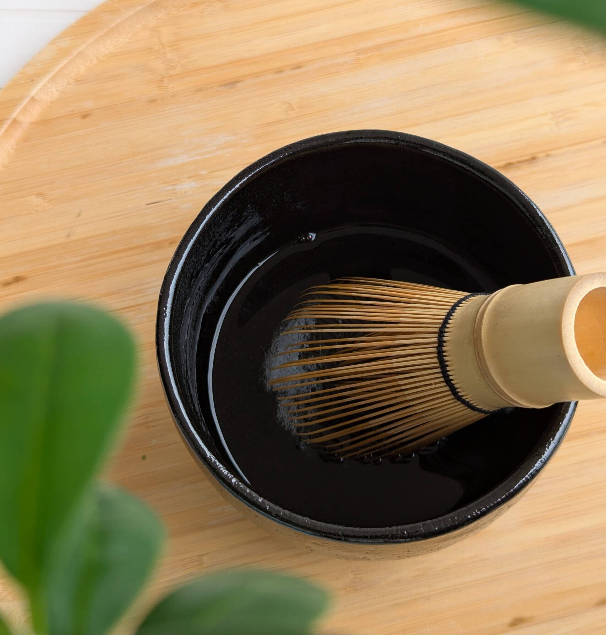 5 Segreti per prendersi cura del Chasen