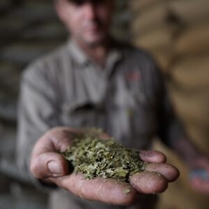 Rosamonte Organica Yerba Mate argentina BIO2