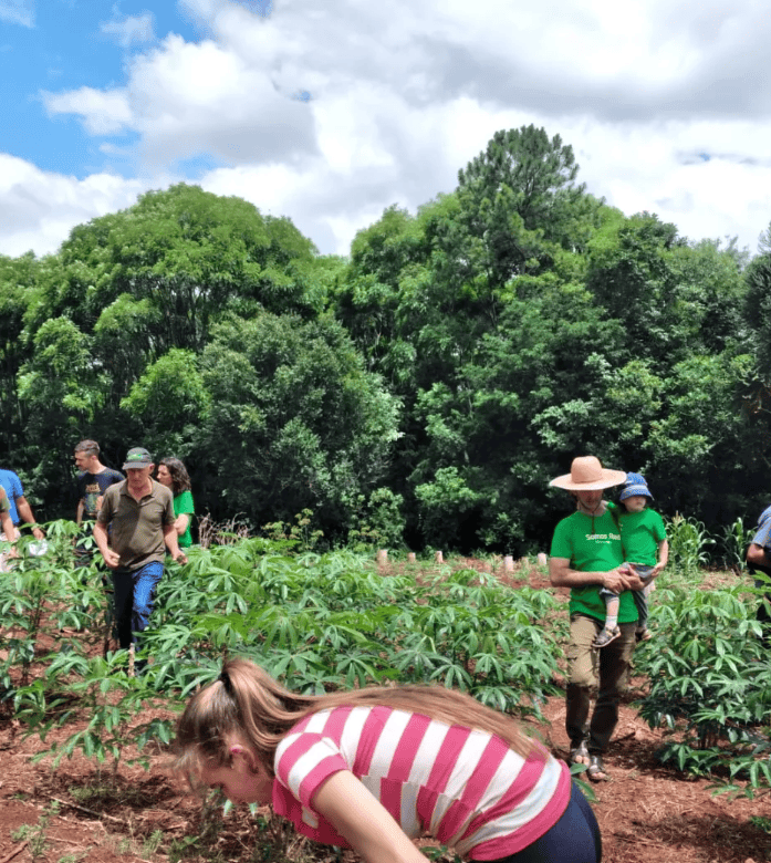 Zapecà yerba mate acroecologica dalla selva-3