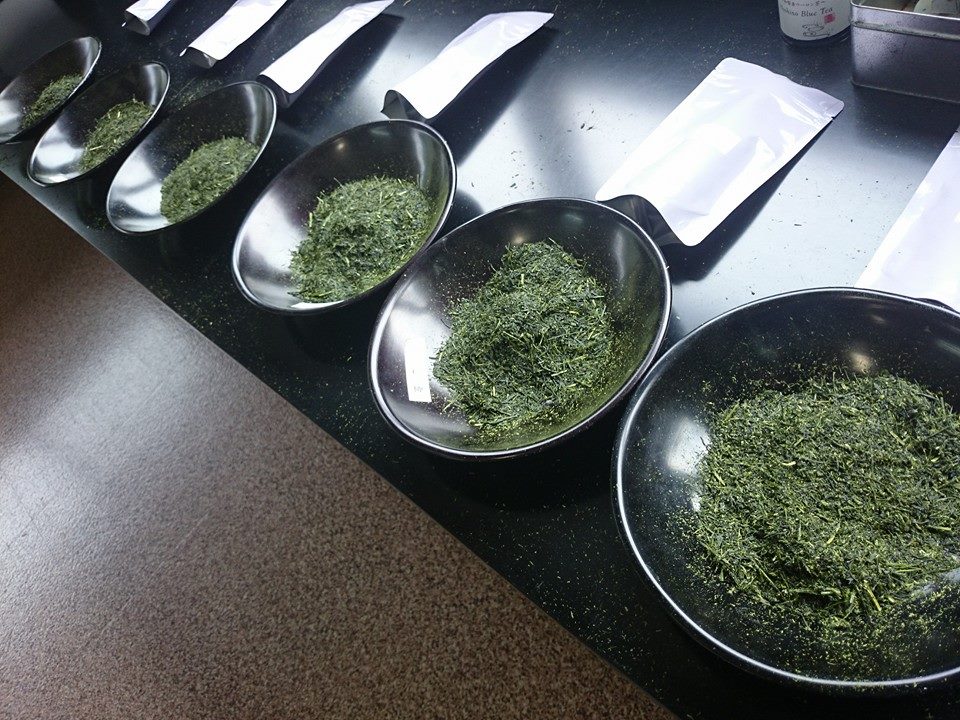 hoshino-dento-hon-gyokuro-4